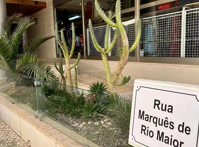 Apart. T2- Perola Do Marques - شقة